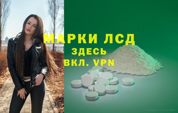 соль ск Горнозаводск