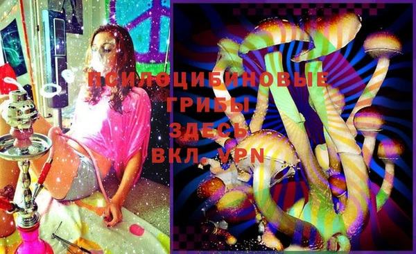 mdpv Долгопрудный