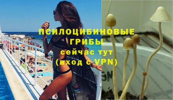 герыч Бугульма