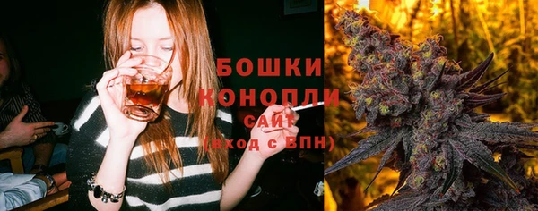 соль ск Горнозаводск
