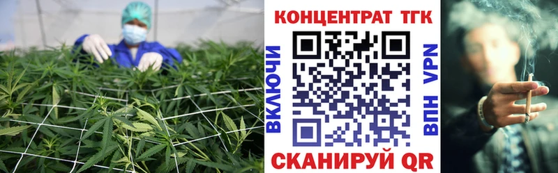 купить  сайты  Енисейск  ТГК Wax 