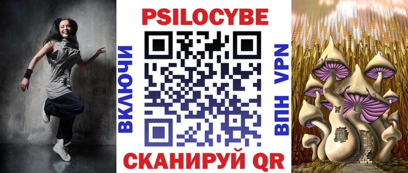 Псилоцибиновые грибы Psilocybine cubensis  закладки  Енисейск 